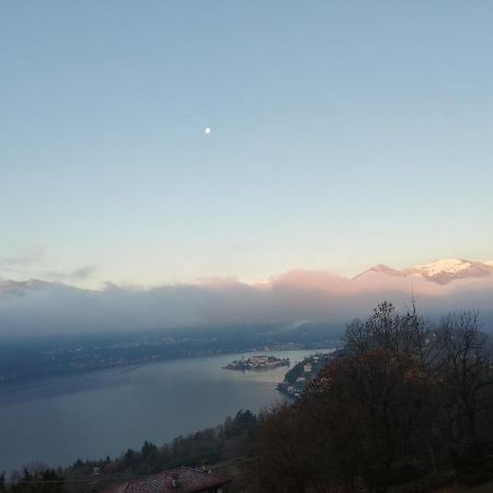 Cottage Sotto Il Faggio Centenario Ameno Buitenkant foto