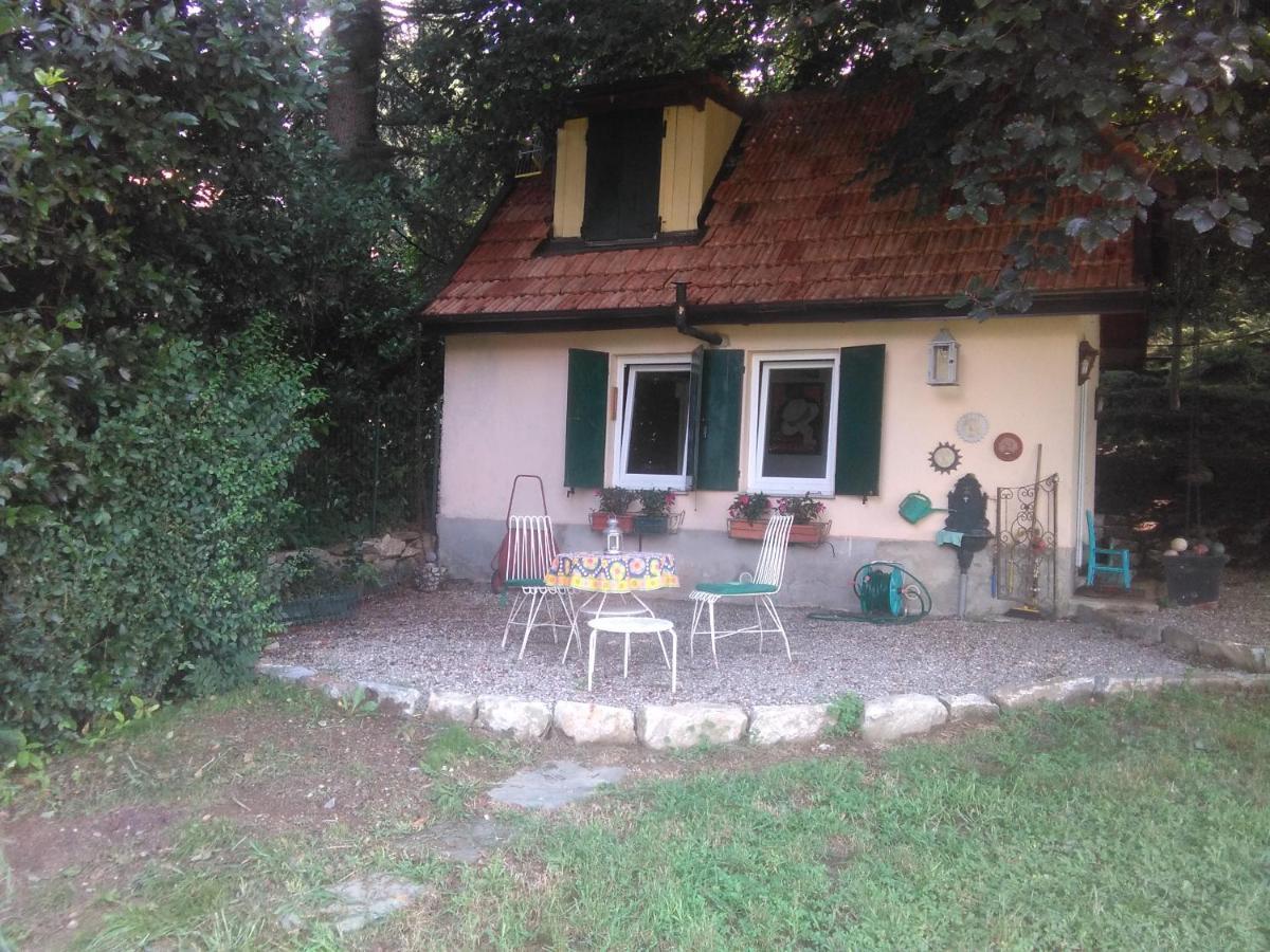 Cottage Sotto Il Faggio Centenario Ameno Buitenkant foto