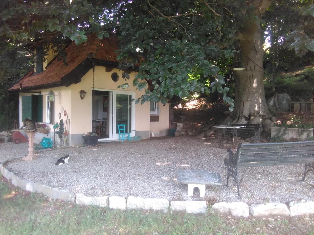 Cottage Sotto Il Faggio Centenario Ameno Buitenkant foto