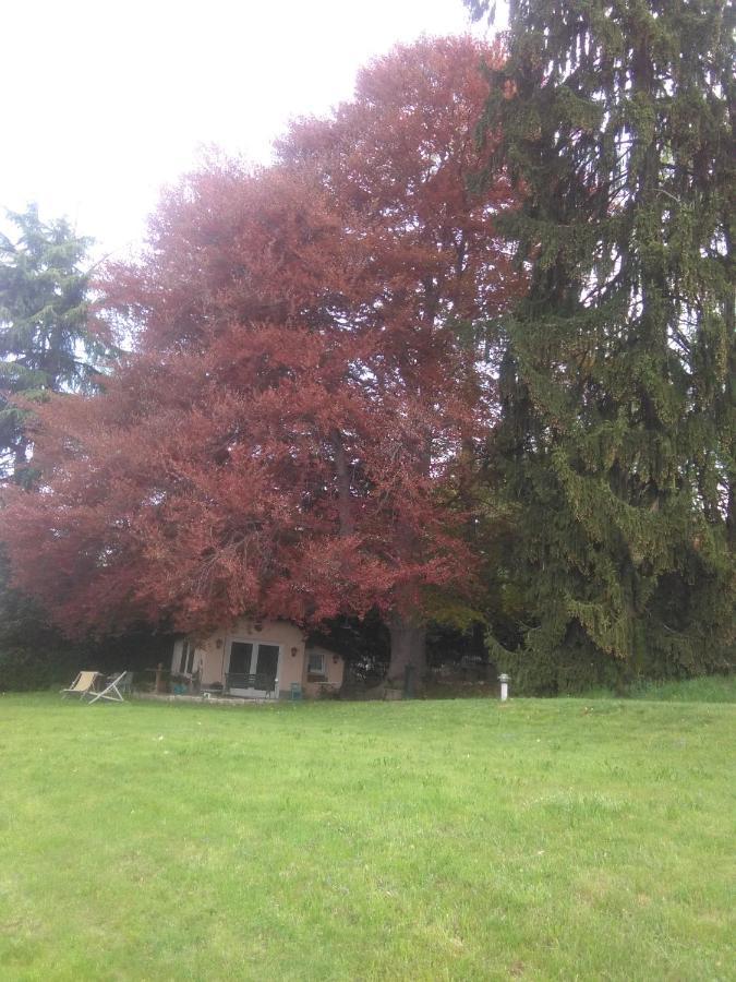 Cottage Sotto Il Faggio Centenario Ameno Buitenkant foto