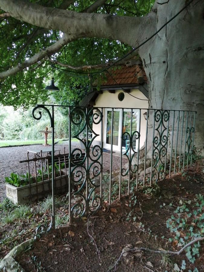 Cottage Sotto Il Faggio Centenario Ameno Buitenkant foto