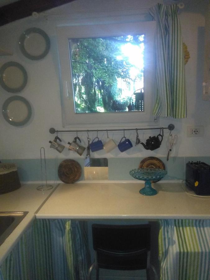 Cottage Sotto Il Faggio Centenario Ameno Buitenkant foto