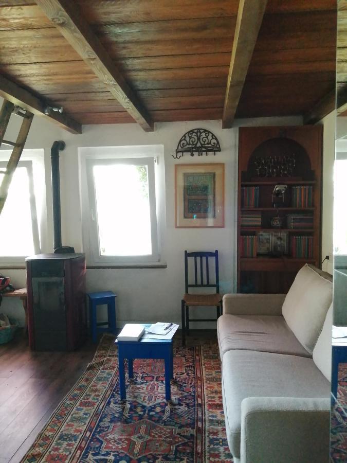 Cottage Sotto Il Faggio Centenario Ameno Buitenkant foto