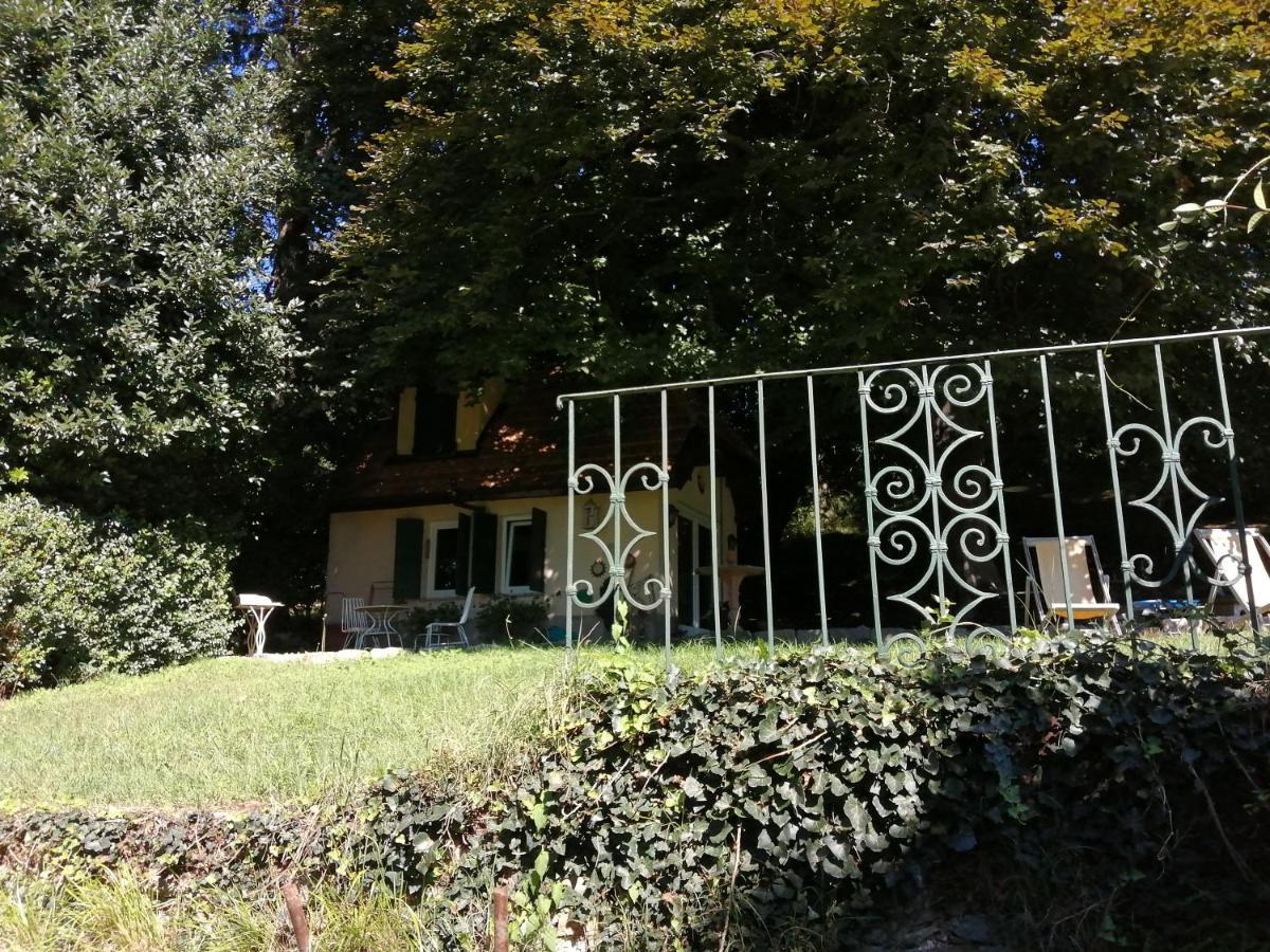 Cottage Sotto Il Faggio Centenario Ameno Buitenkant foto