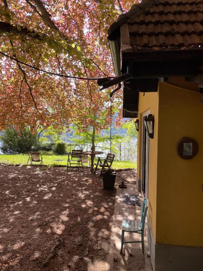 Cottage Sotto Il Faggio Centenario Ameno Buitenkant foto