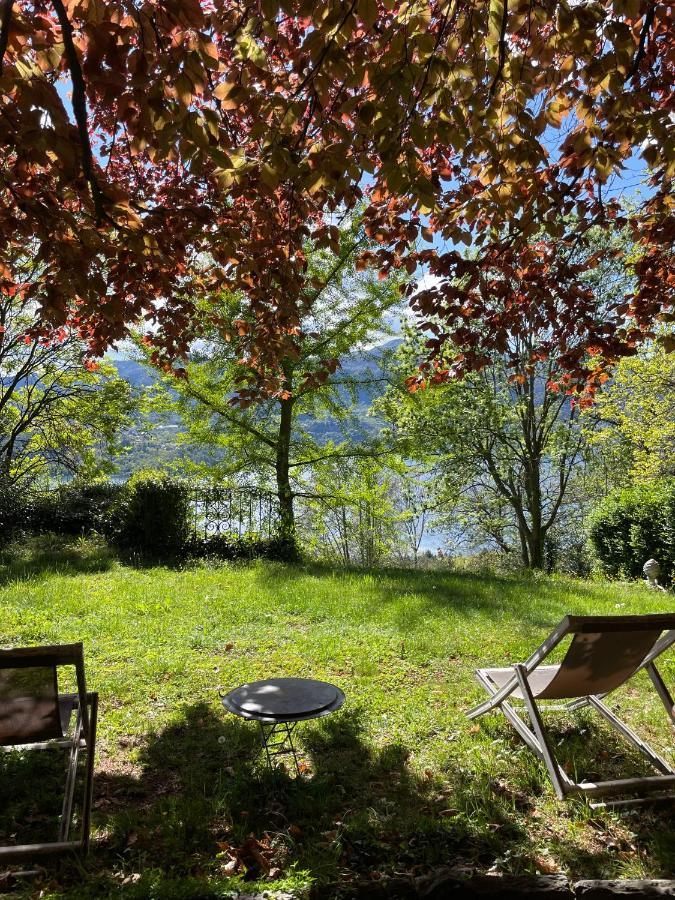 Cottage Sotto Il Faggio Centenario Ameno Buitenkant foto