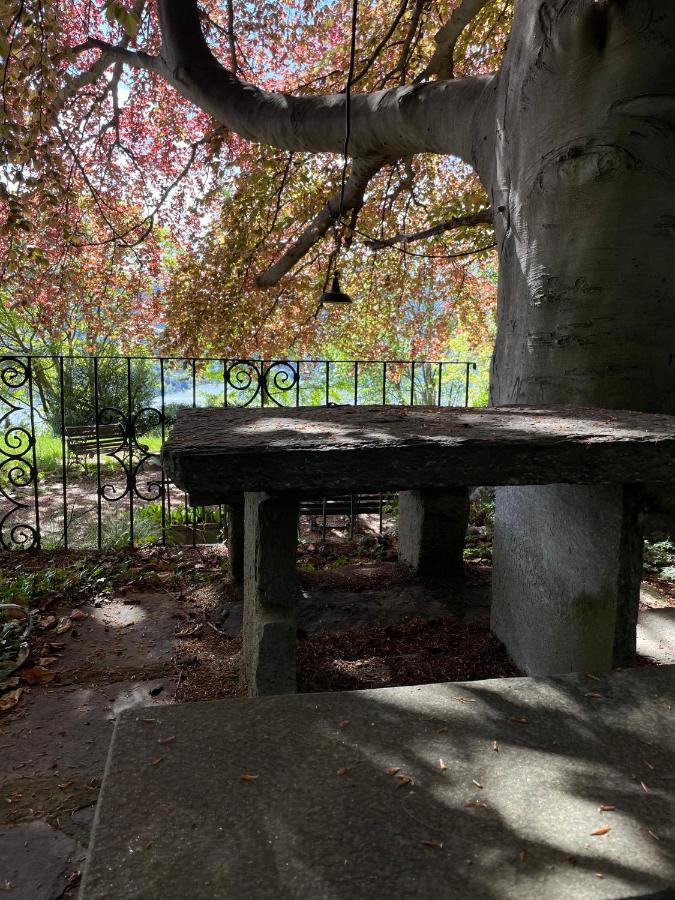 Cottage Sotto Il Faggio Centenario Ameno Buitenkant foto