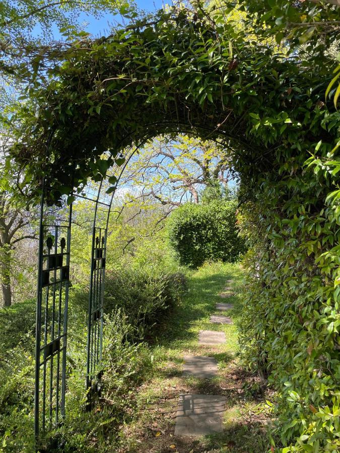 Cottage Sotto Il Faggio Centenario Ameno Buitenkant foto