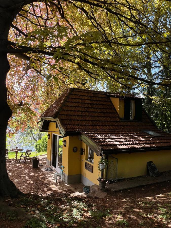 Cottage Sotto Il Faggio Centenario Ameno Buitenkant foto